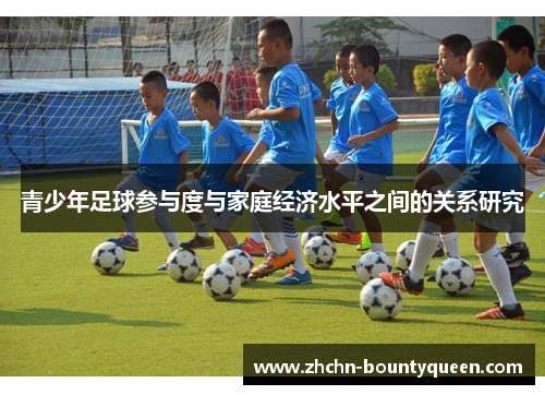 青少年足球参与度与家庭经济水平之间的关系研究 青少年足球参与度与家庭经济水平之间的关系研究